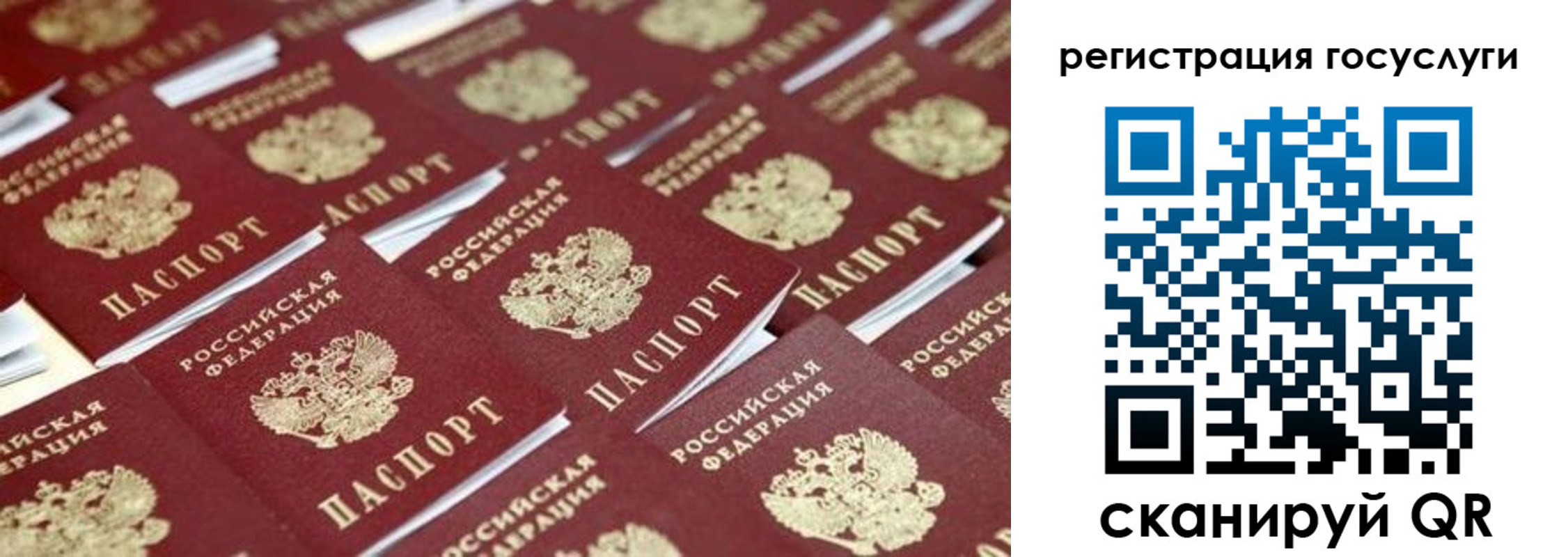 прописка ребенка в Отрадном
